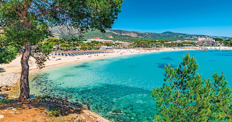 Fergus Club Palmanova Park