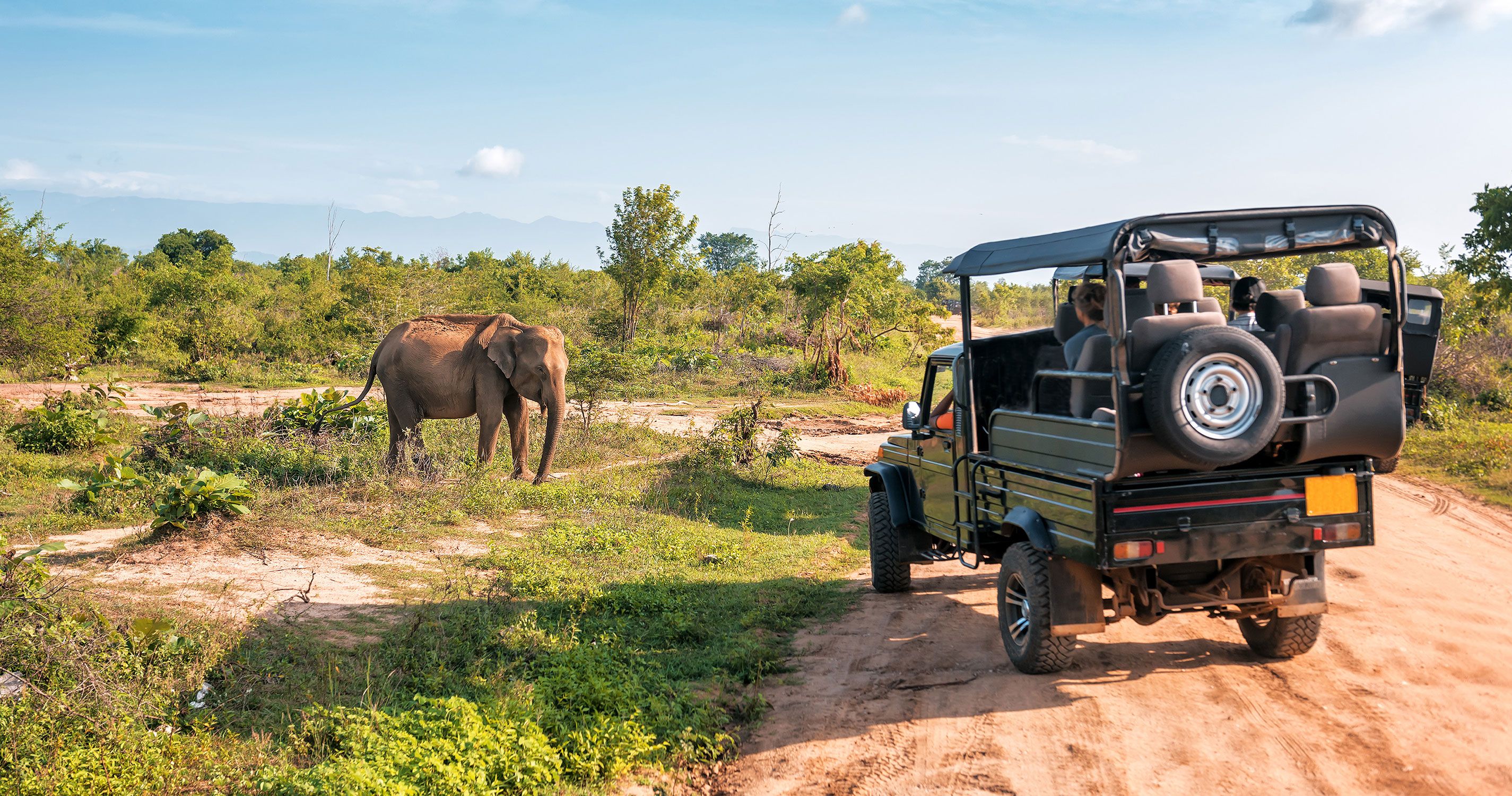 Safari Saadani S Relaxem Na Zanzibaru