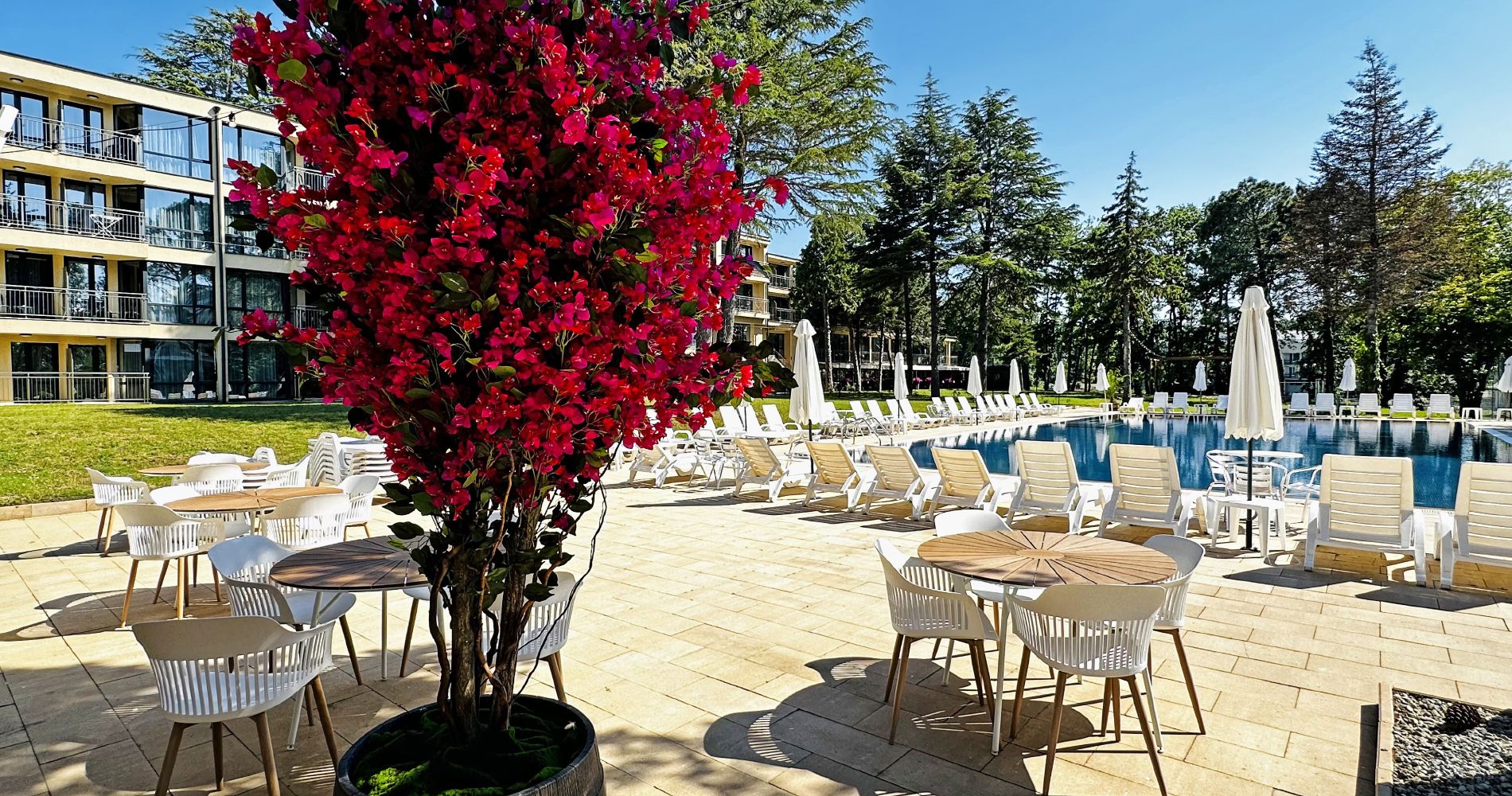 Hotel Queen Nelly Park