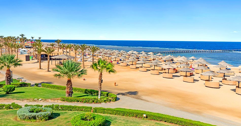 Hotel Pickalbatros Oasis