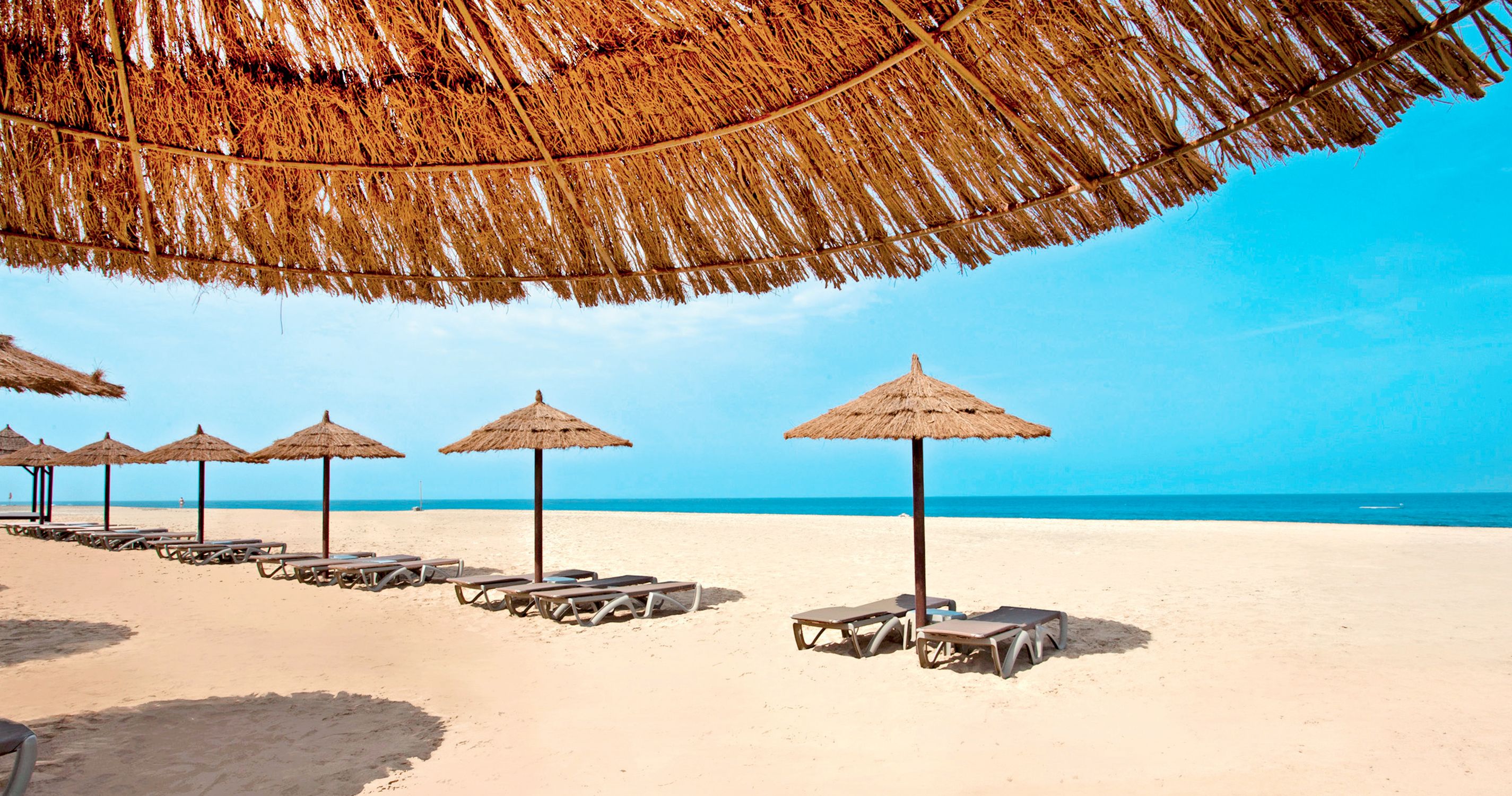 Hotel Melia Tortuga Beach Resort & Spa