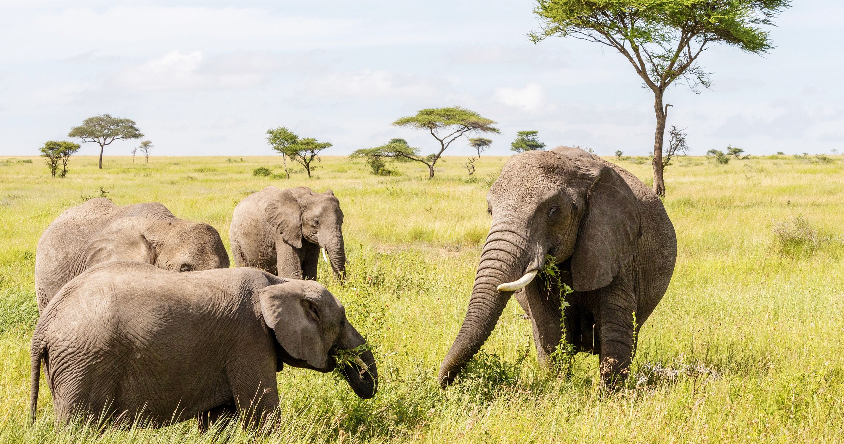 Přírodní rezervace