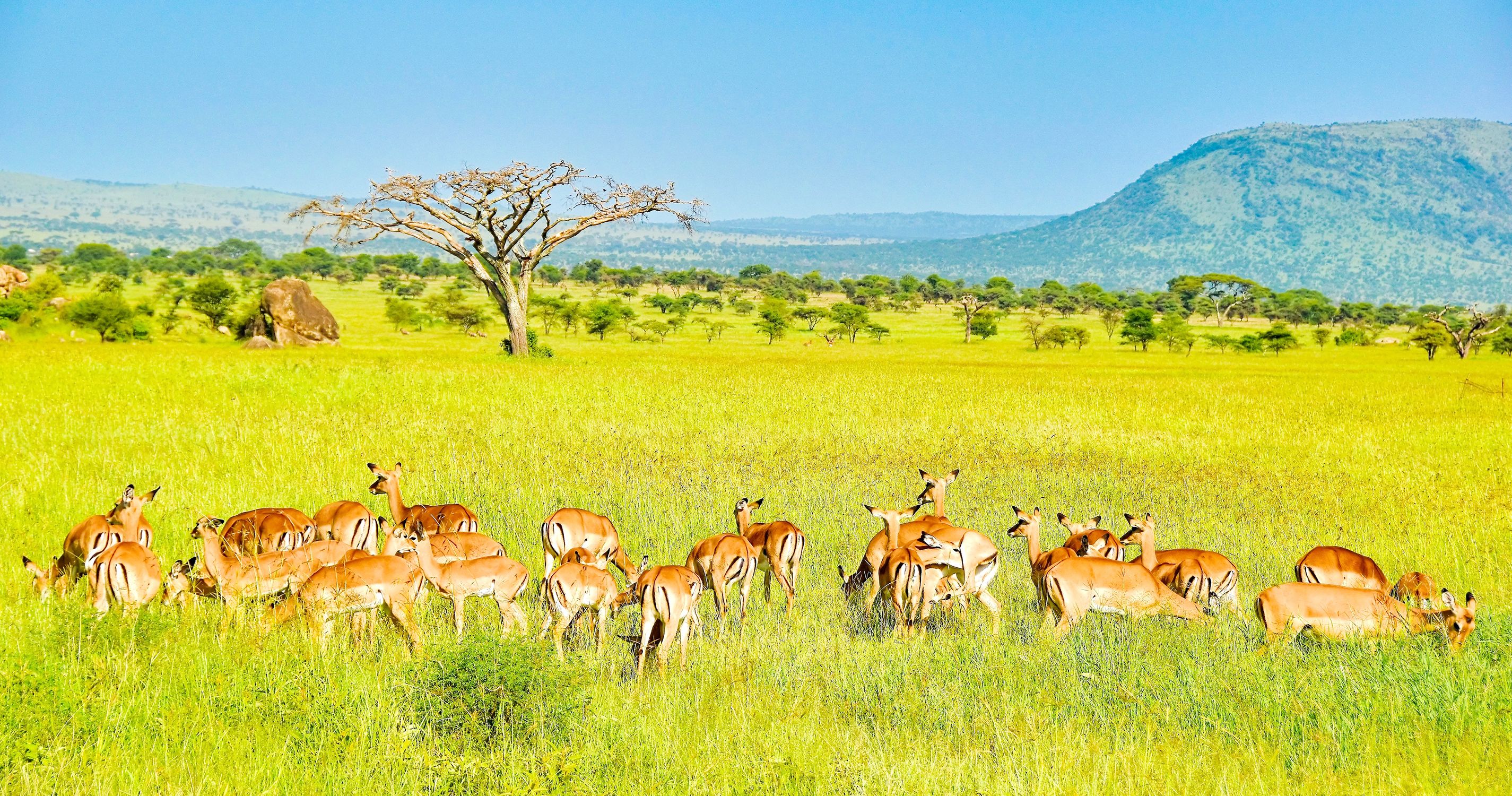 Přírodní rezervace