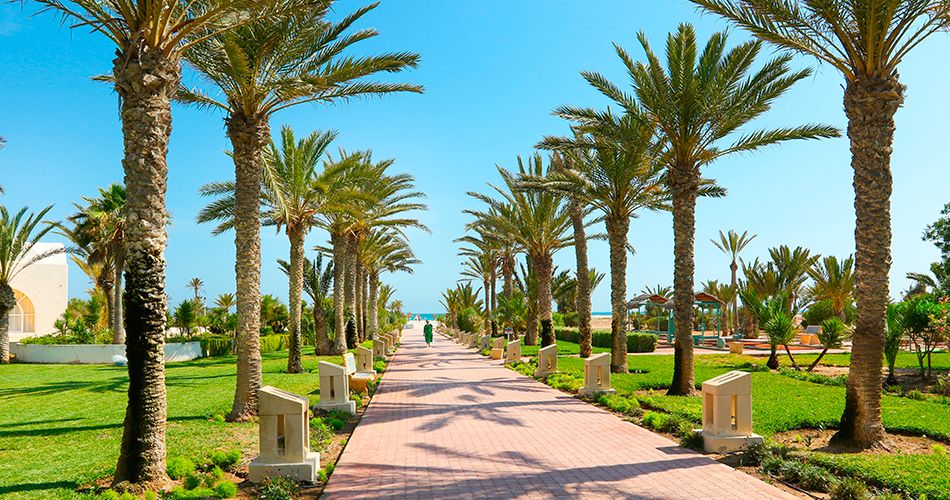 Hotel Royal Garden Palace 3