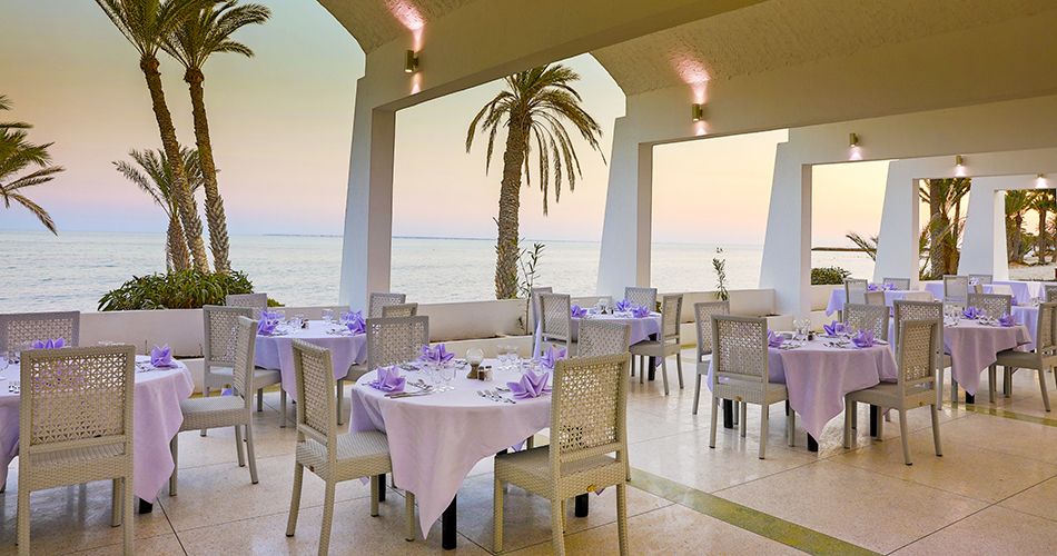 Hotel Hari Club Beach Resort 5