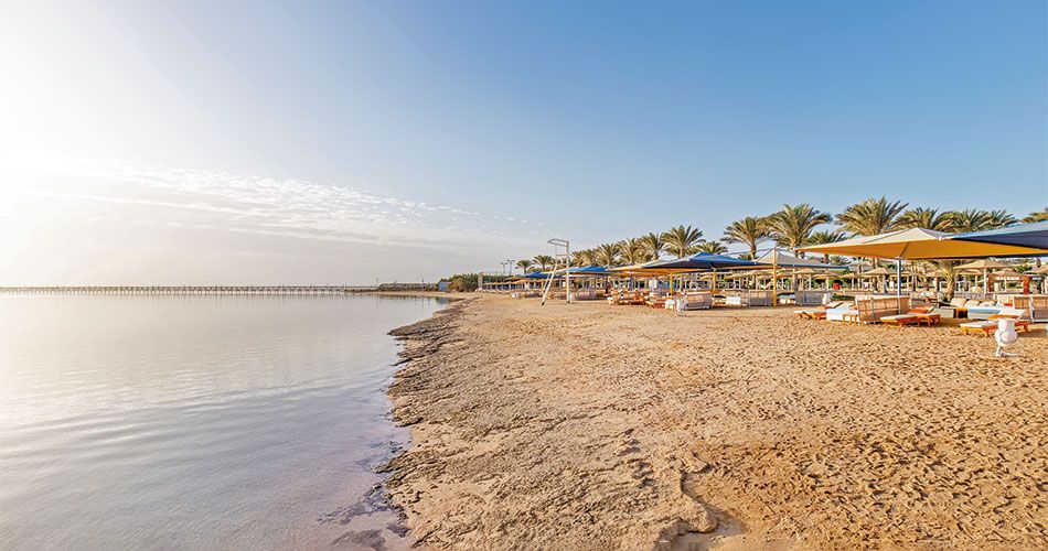 Hotel Pickalbatros Royal Moderna Resort 6