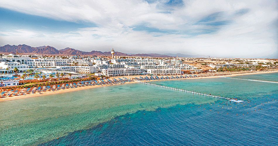 Hotel Pickalbatros Palace Resort 8