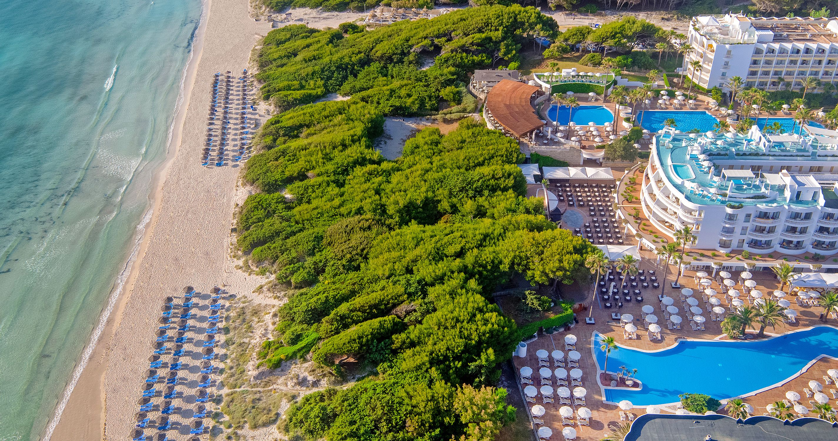 Iberostar Selection Albufera Playa