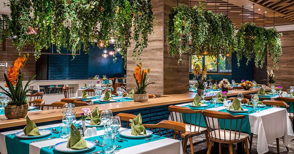 Hotel Calyptus Kirman Premium 5