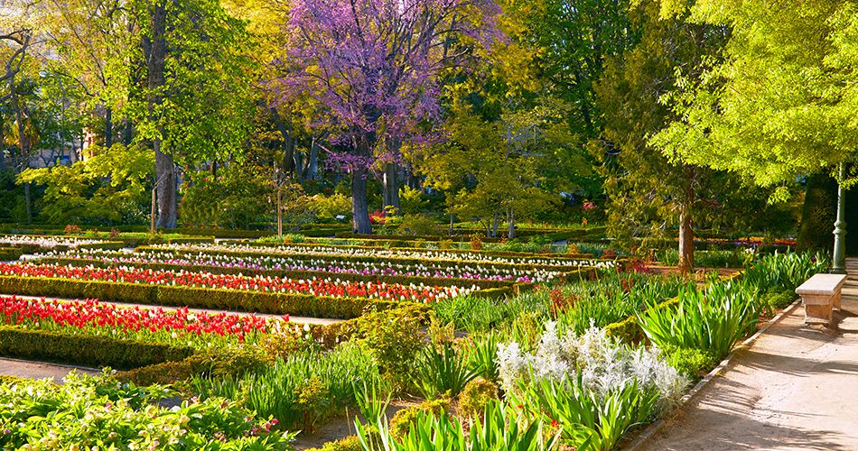 Eurovíkend Madrid - Hotel Praga