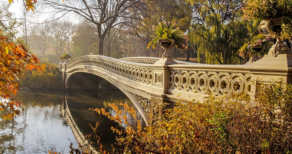 New York - Central Park