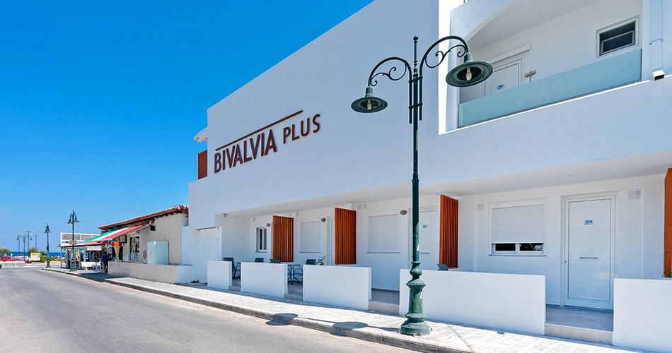 Bivalvia Beach Plus