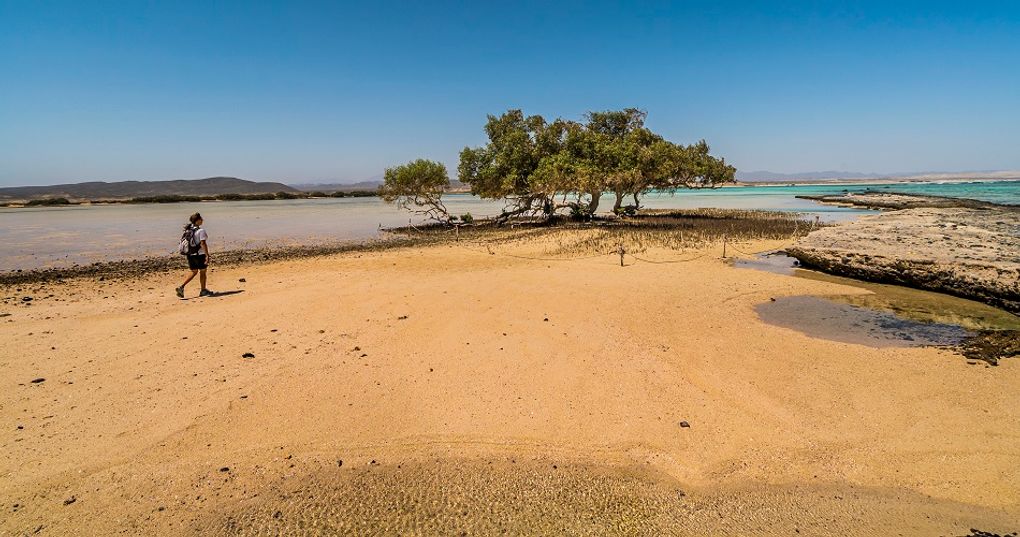 Park Narodowy Wadi el Gemal