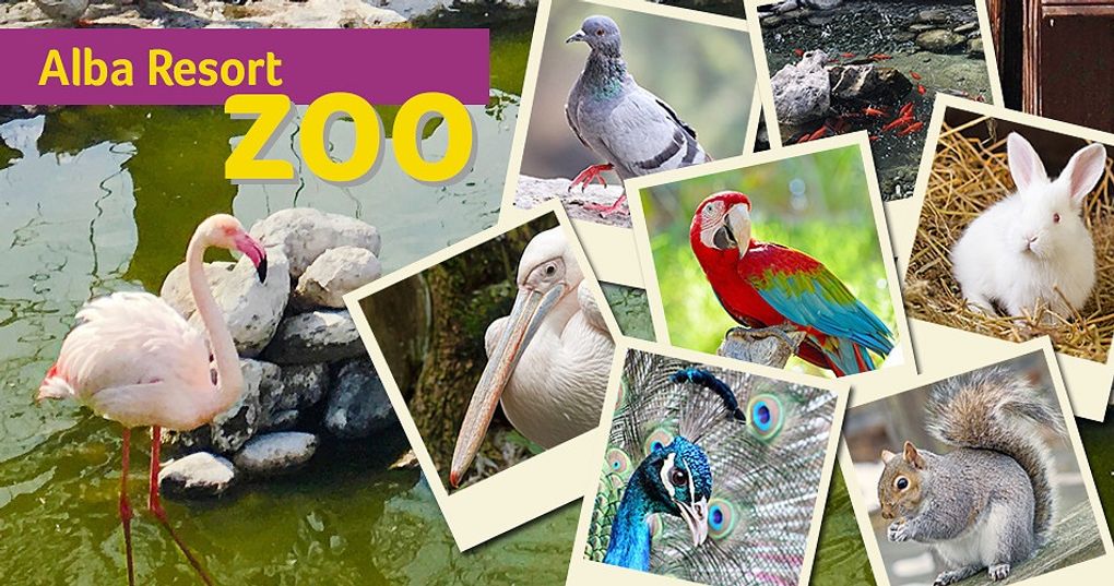 Zoo