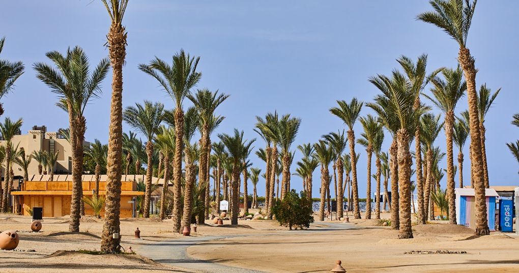 Plaża