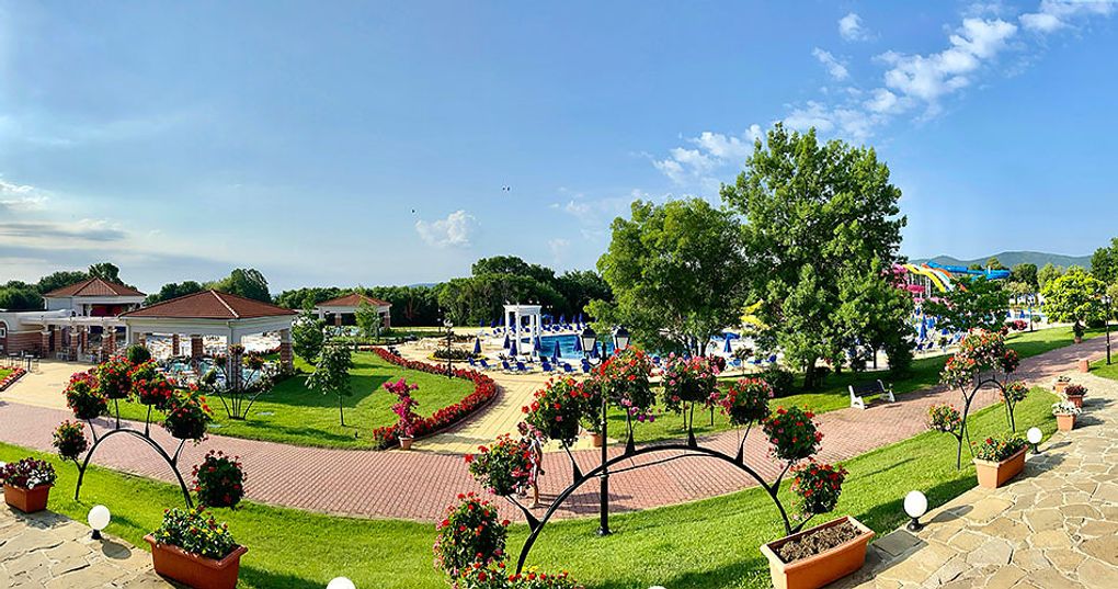 Ogród