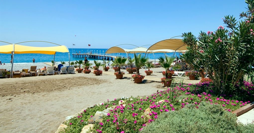 Plaża