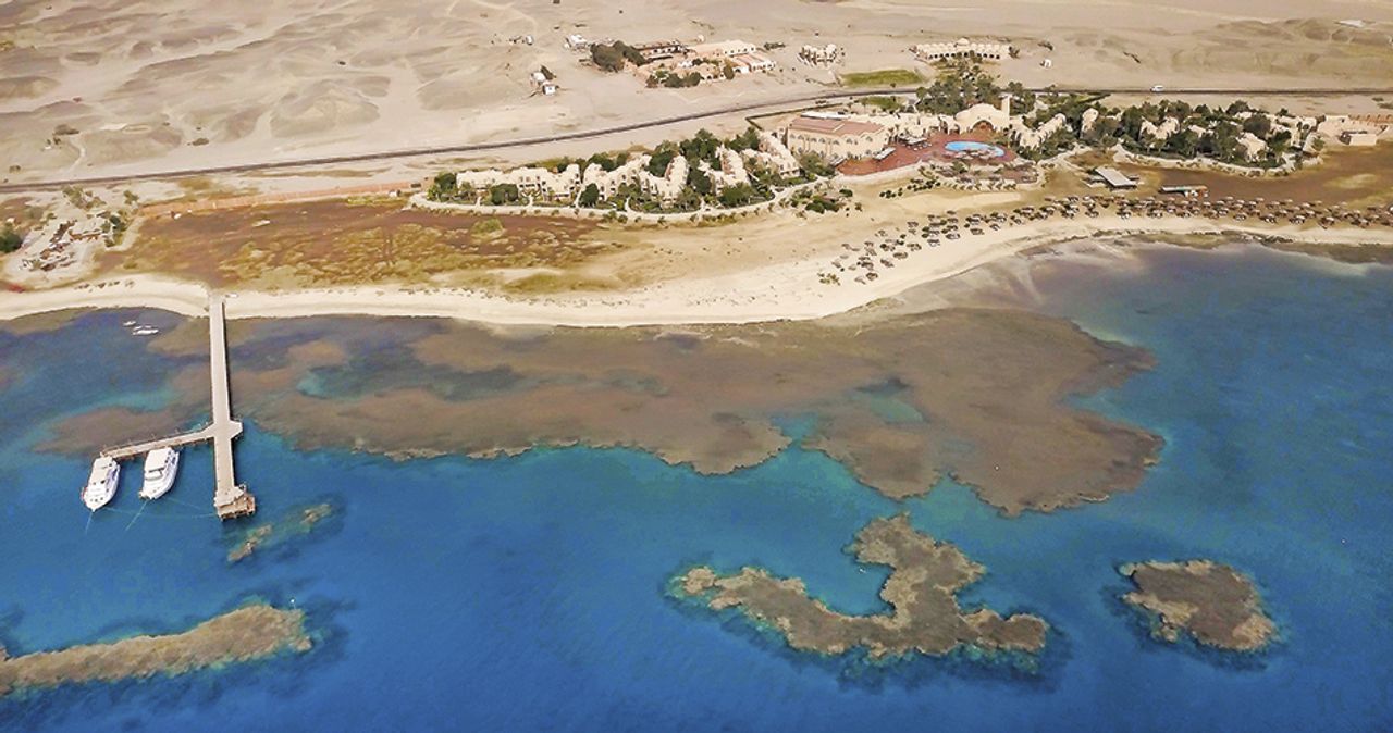 Shams Alam Beach Resort – písečná pláž u Wadi El Gemal
