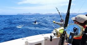 Rybaření v Atlantském oceánu