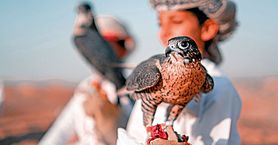 Salalah Tour Wyndham 7 Nights