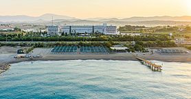 Vita Silva (Ex. Amelia Beach)