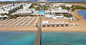 Kaya Artemis