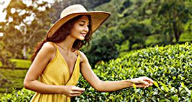 Srí Lanka - Srí Lanka - LM