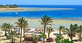 Egypt - Marsa Alam - FM