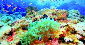 Egypt - Sharm El Sheikh - LM