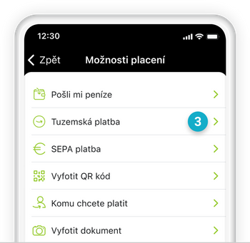 Ilustrace: Tuzemská platba