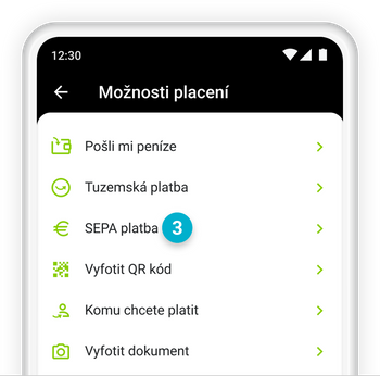 Ilustrace: Zadání zahraniční platby
