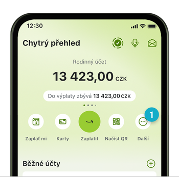 Ilustrace: Disponent a držitel
