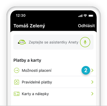 Ilustrace: Tuzemská platba