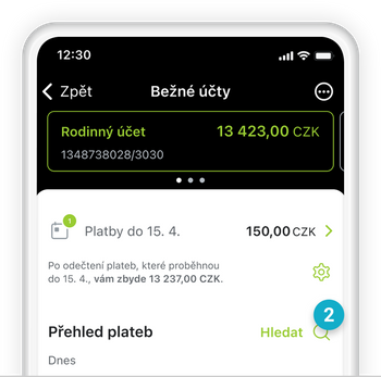 Ilustrace: Tuzemská platba