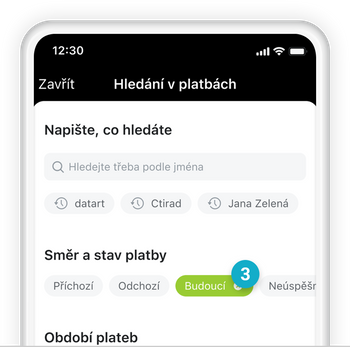 Ilustrace: Tuzemská platba