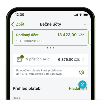 Ilustrace: Vyhledání platby