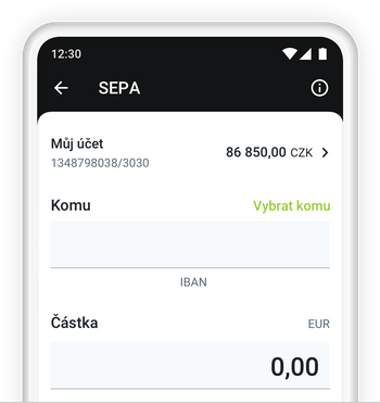 Ilustrace: Zadání zahraniční platby