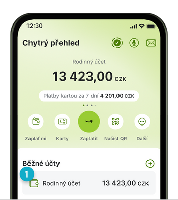 Ma chytry prehled bu - Potvrzení o platbě