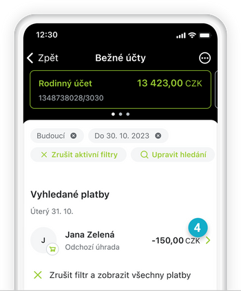 Ilustrace: Tuzemská platba