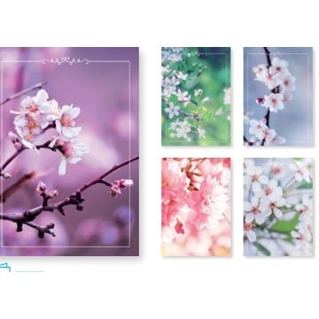 Sada blahopřání UNICEF