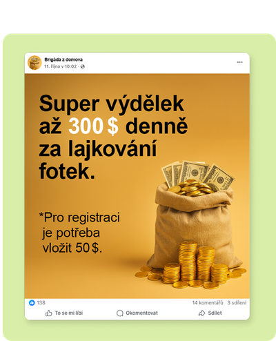 Podvodná brigáda z domu