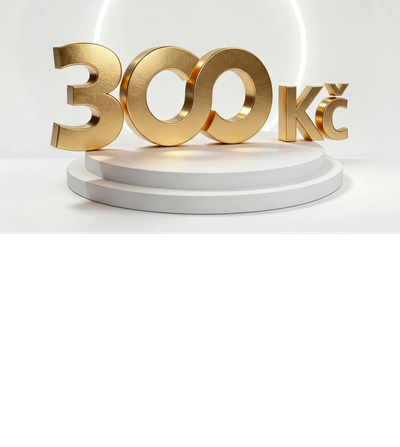300 Kč měsíční odměna