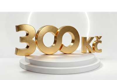 300 Kč měsíční odměna
