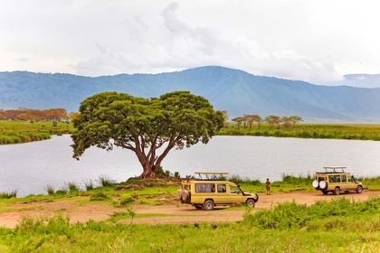 Safari Ngorongoro