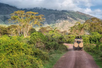 Safari Ngorongoro