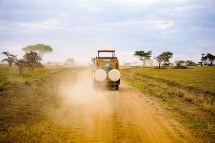Safari Serengeti