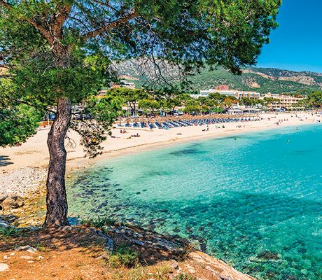 Fergus Club Palmanova Park