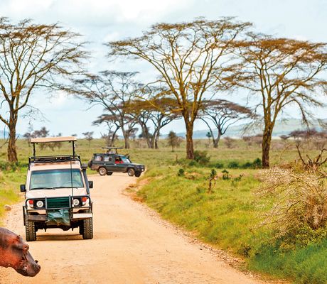 Safari Selous S Relaxem Na Zanzibaru