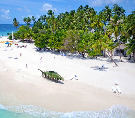 Malahini Kuda Bandos