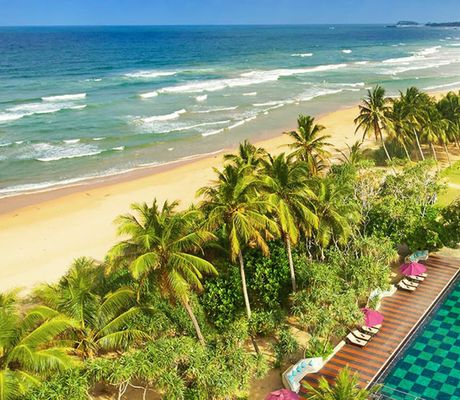 Hotel Thaala Bentota Resort